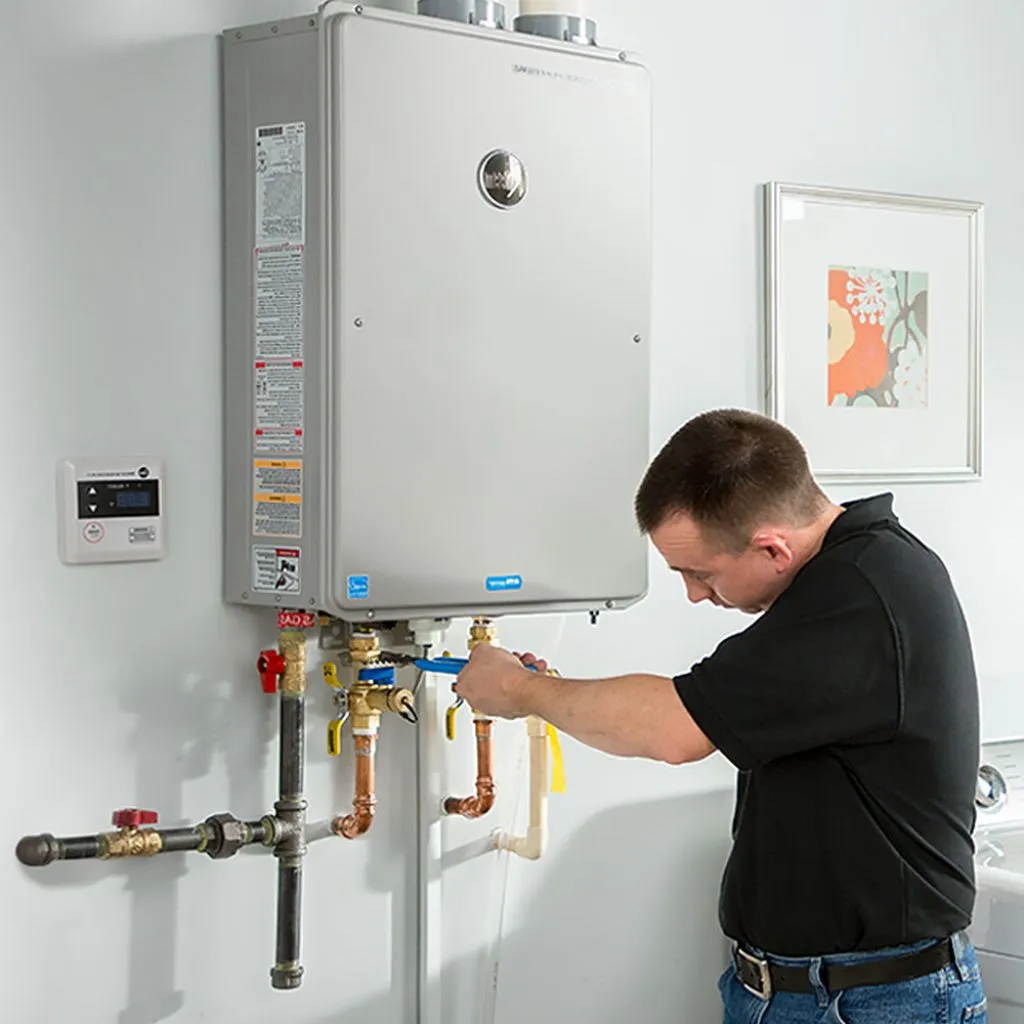 tankless water heater repair in Balm, FL